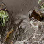25-poudre-river-black-water