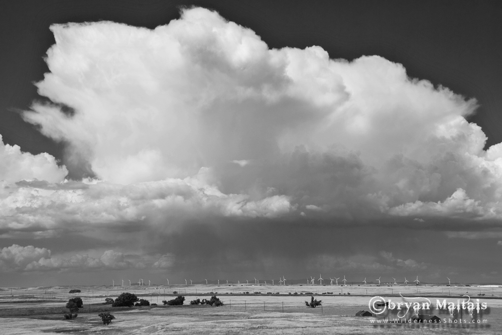 Cumulonimbus Cloud Black and White