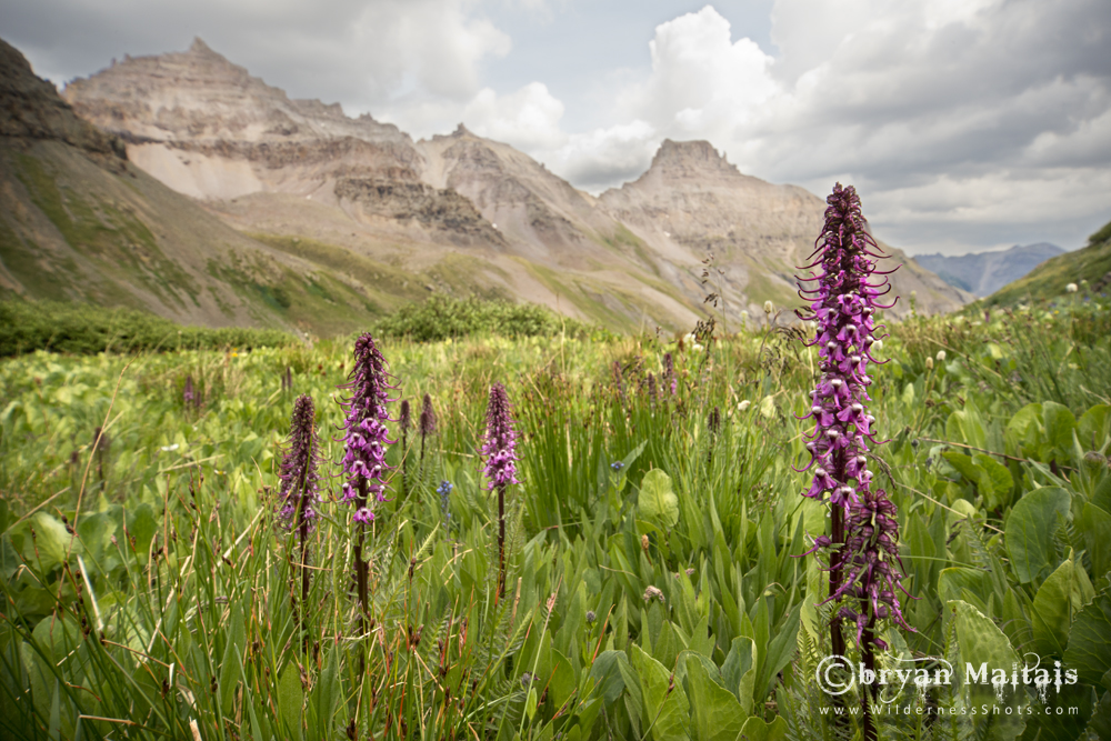 Elaphant Heads, Yankee Boy Basin, Colorado