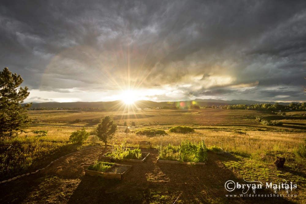 Fort Collins Garden Sunset Colorado