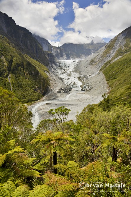 Fox Glacier, New Zealand