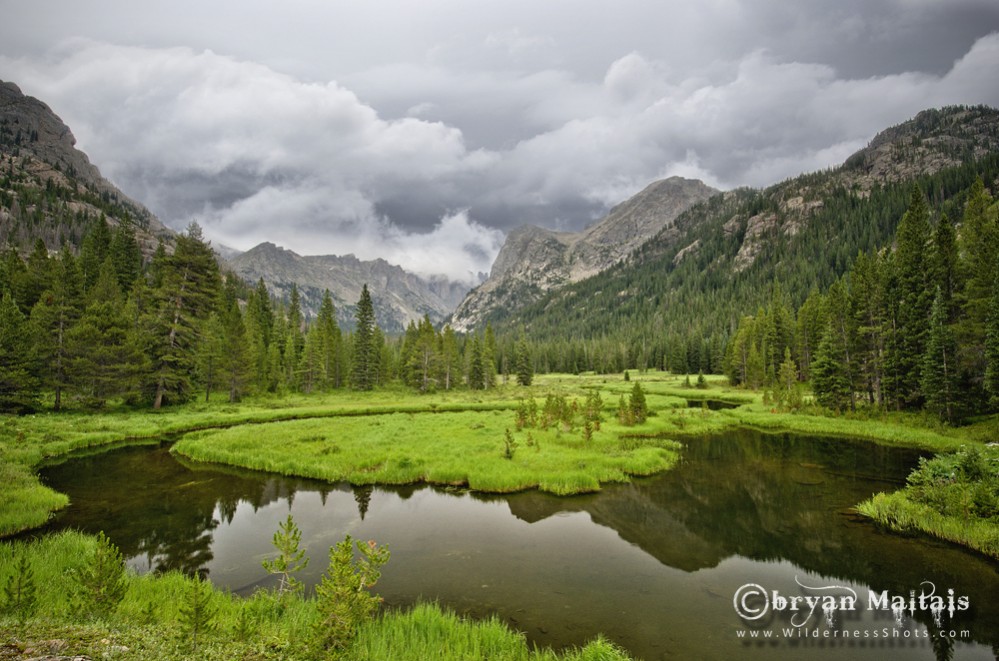 Indian Peaks Wilderness Wetland