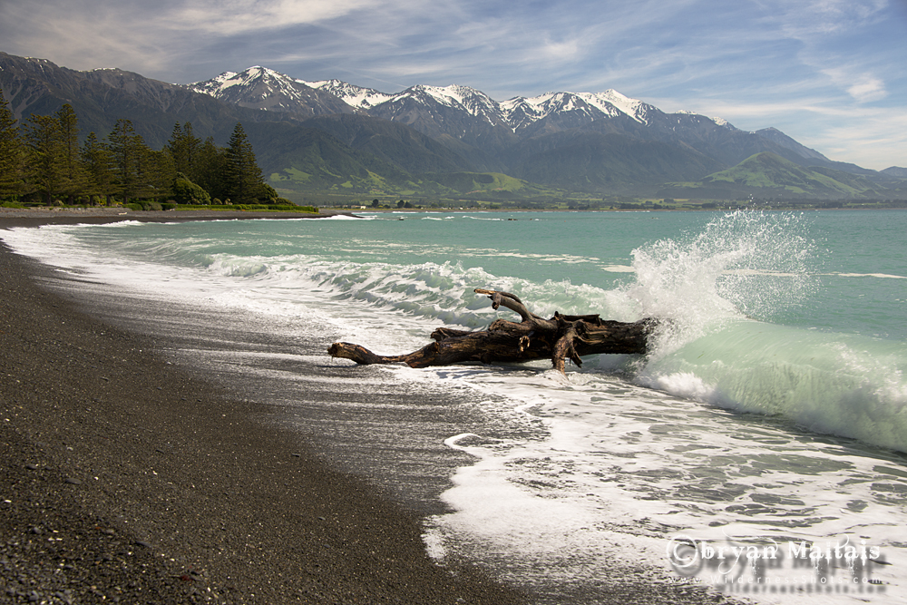 Kaikoura, New Zealand