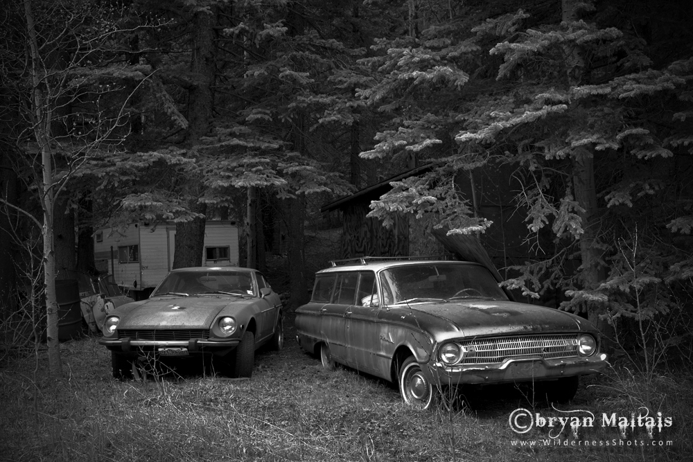 Old Junker Cars in Forest Black and White
