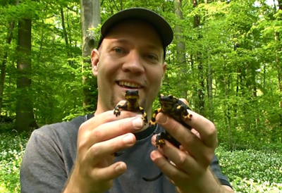 fire salamander germany documentary