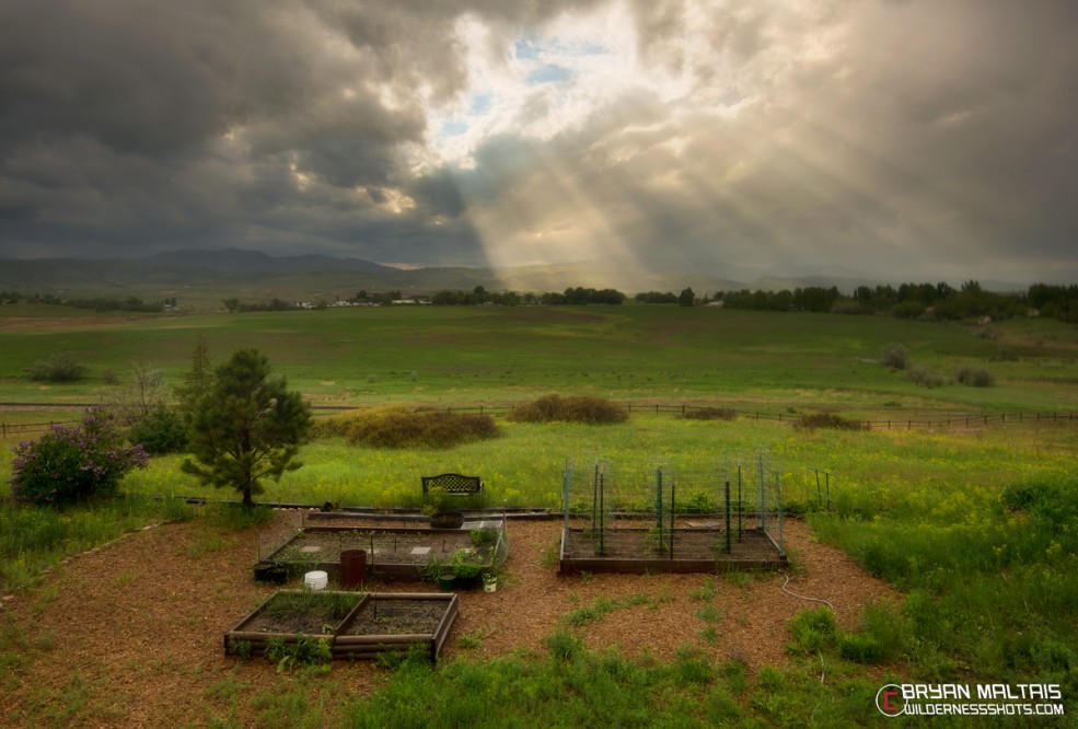 May on Colorado's Front Range is paradise, and a brief time of year when things are green. No big adventure here, just the beautiful view off my deck overlooking my garden.  