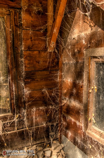 Sometimes it doesn't take the camera to reveal a spirit. Cobwebs are a sure sign of a haunted house