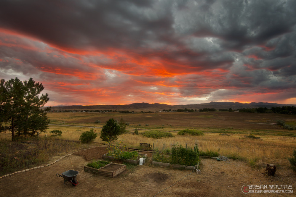 We assume that all photos are post processed to add a bit of pop, and indeed most are, but in this case the red was even more brilliant in person.  This is looking out over my garden from my backyard.   