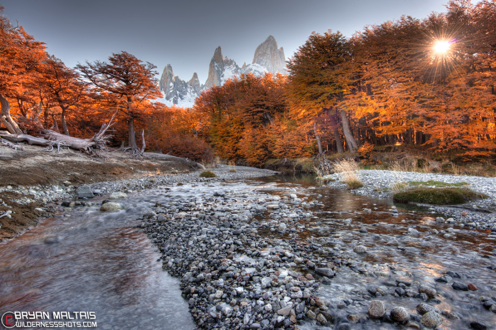 Patagonia Autumn Stream