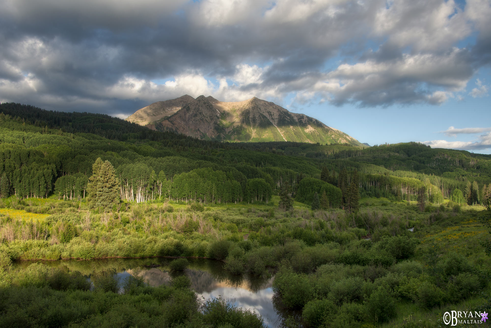 Beckwith Mountain Kebler Pass Rd Crested Butte Colorado