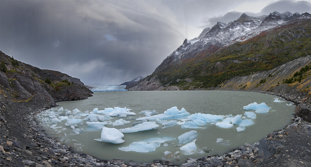 Icebergs from Glacier Grey on day one