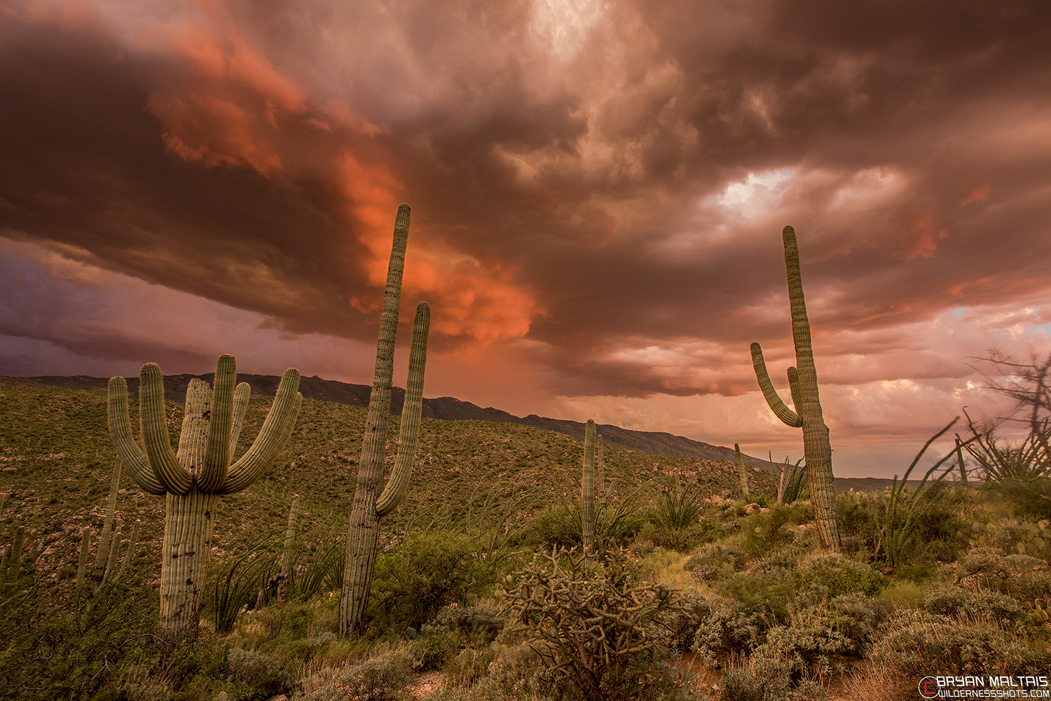 Arizona Utah Landscape Photography