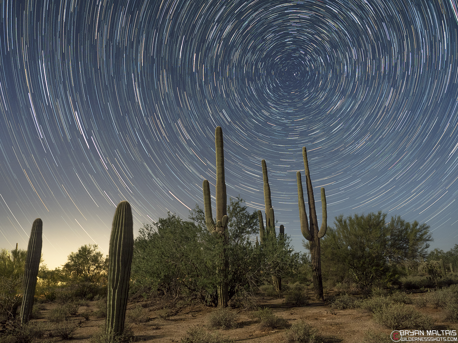 saguaro star trails