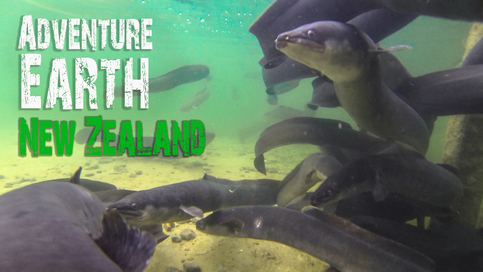 New Zealand Nature Documentary