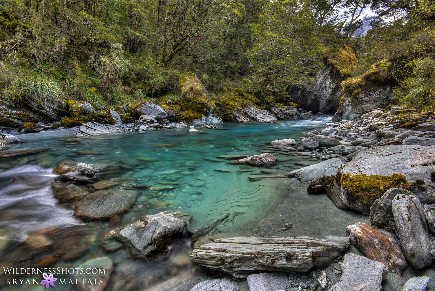 Rob Roy Stream New Zealand Landscape Photography