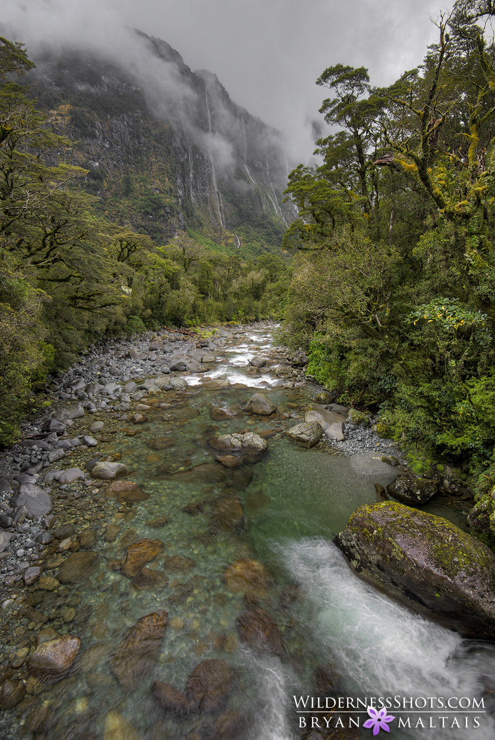 milfor valley stream new zealand landscape photography