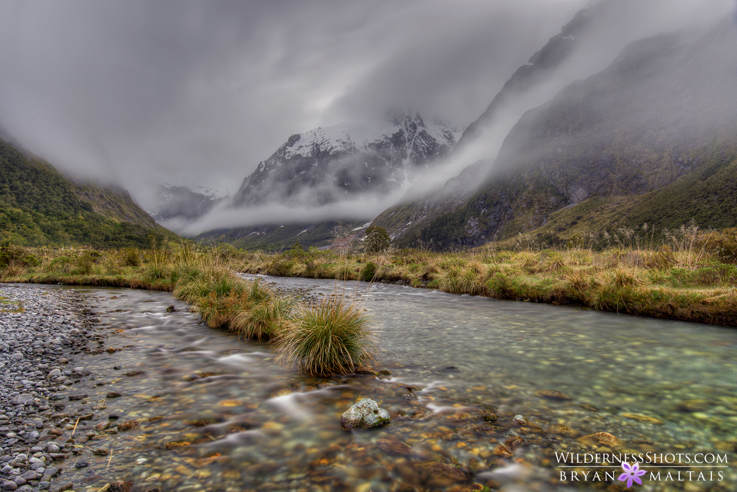 monkey creek new zealand photography