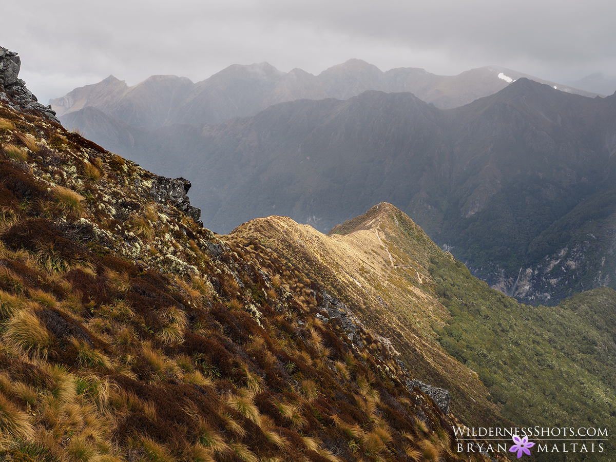 Kepler Track New Zealand Photography