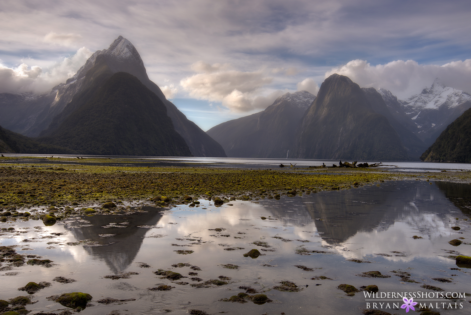 Milford Sound New Zealand Photography