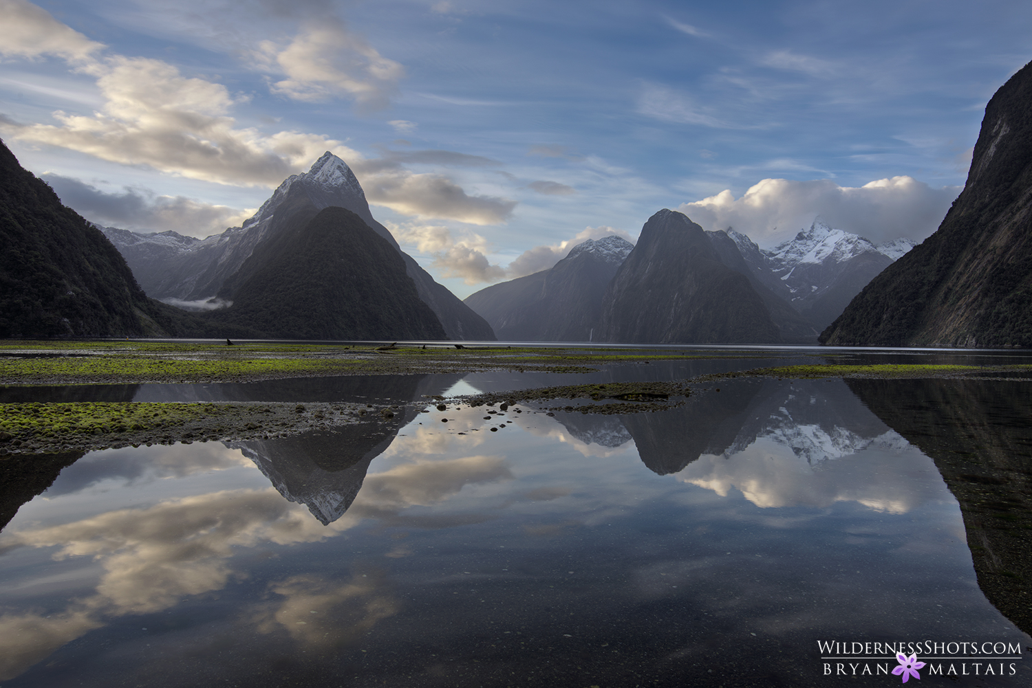 Milford Sound Reflection New Zealand Photography