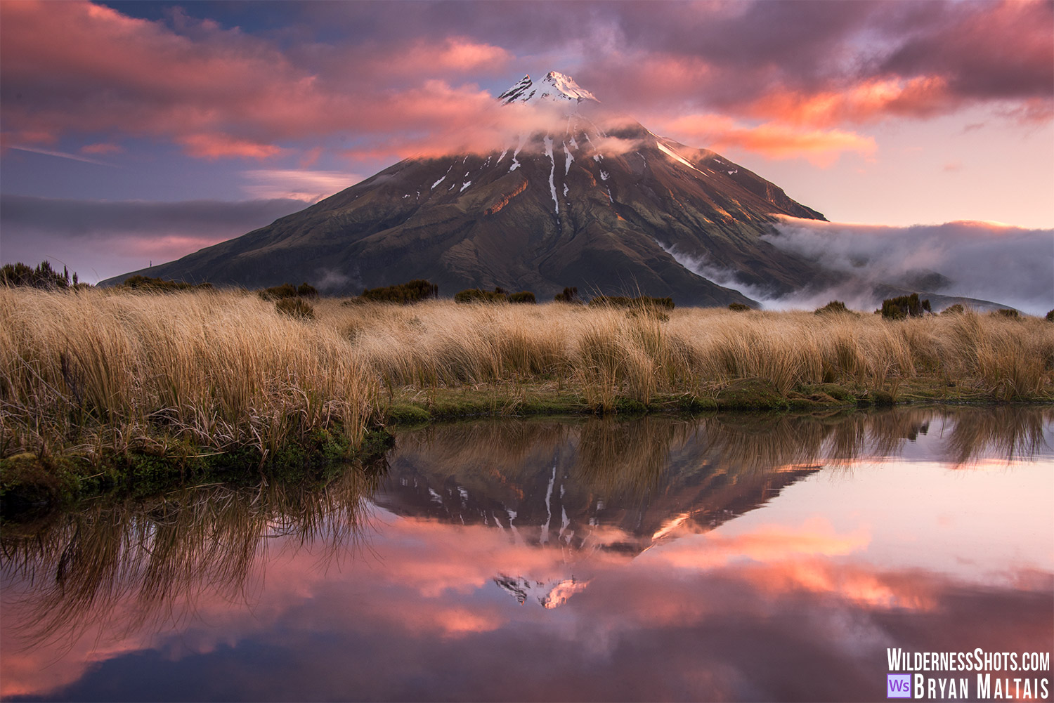 nature photography workshops