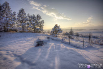 fort-collins-snow-backyard-photography