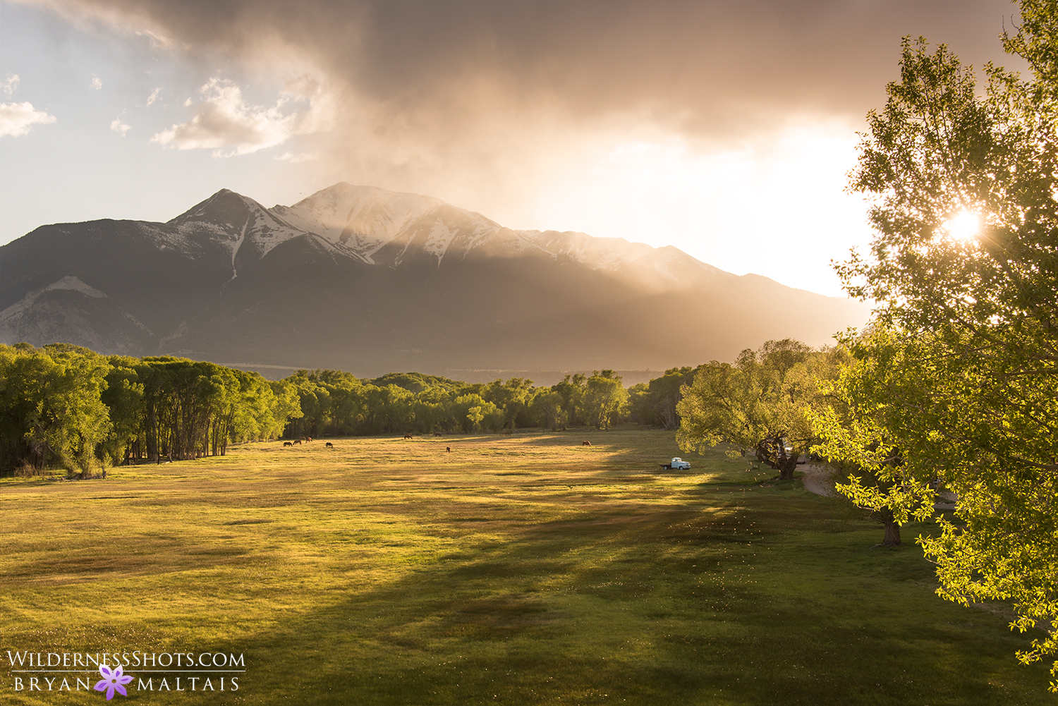 Mt Princeton Colorado Photography