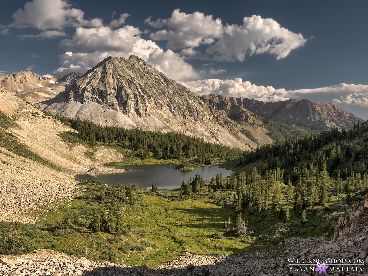 Elk Mountains Colorado Photos