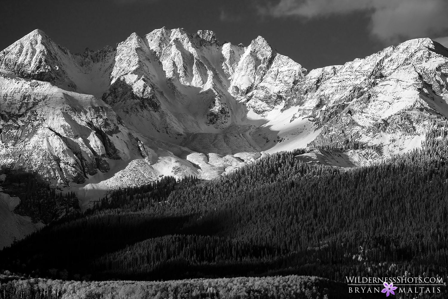 dallas divide colorado black and white