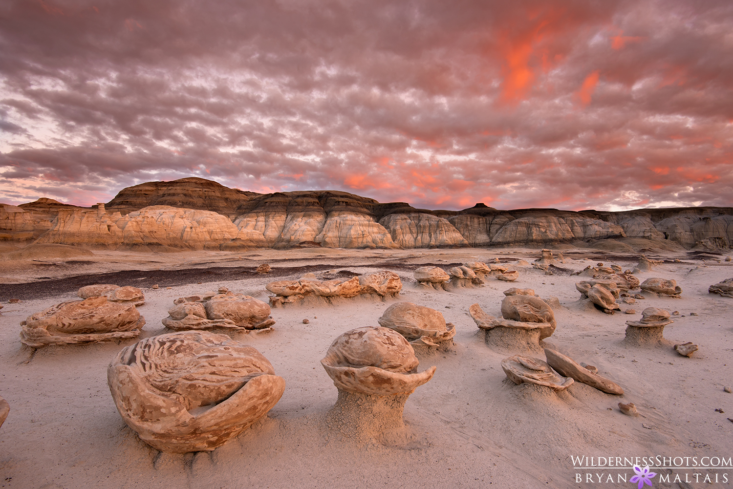 Bisti Badlands Alien Eggs Red Sunset