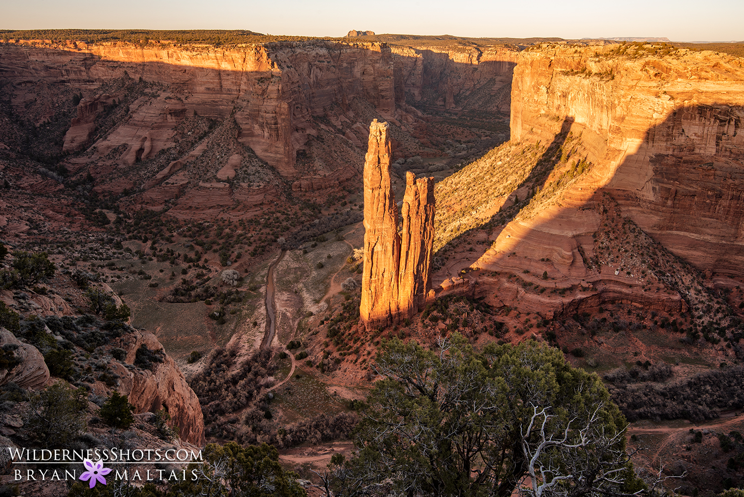 Canyon de Shelly Spider Rock