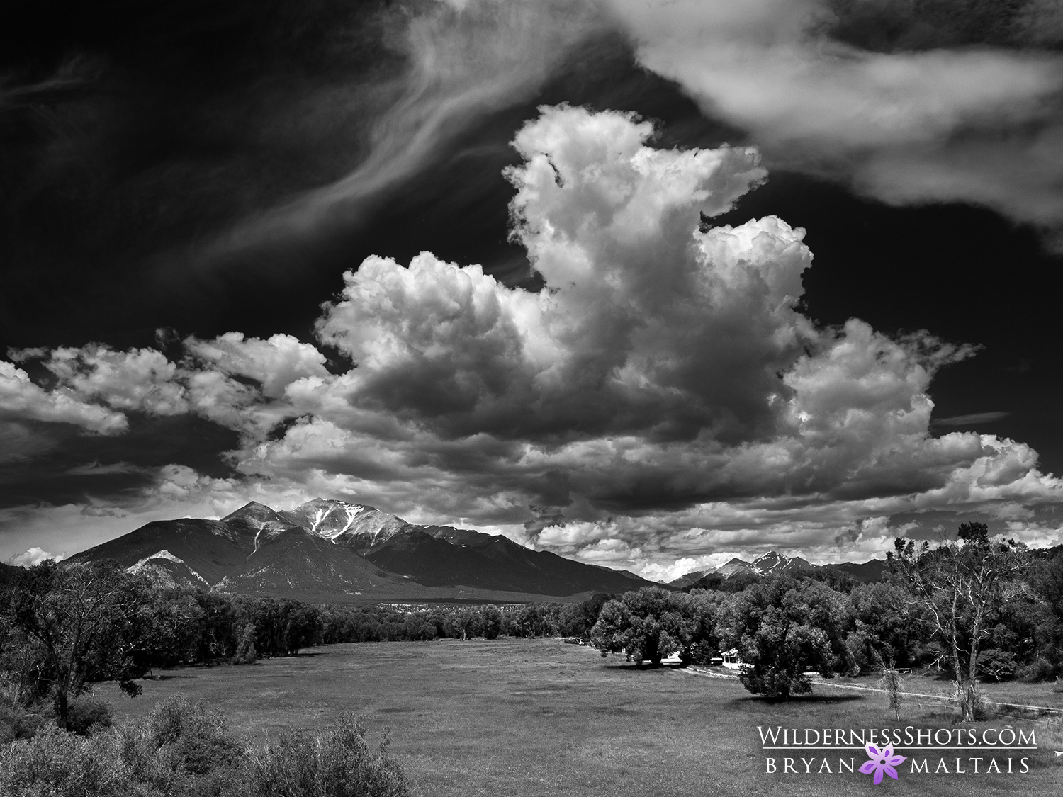 Buena Vista Mt Princeton Black and White Colorado Photos