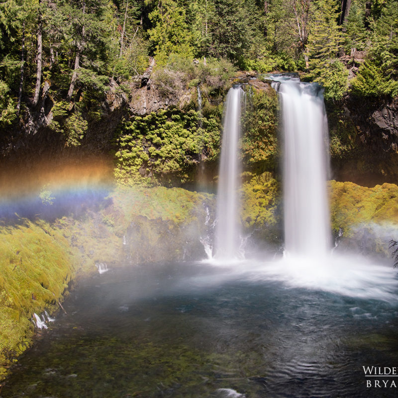 Koosah Falls Oregon Landscape Photography