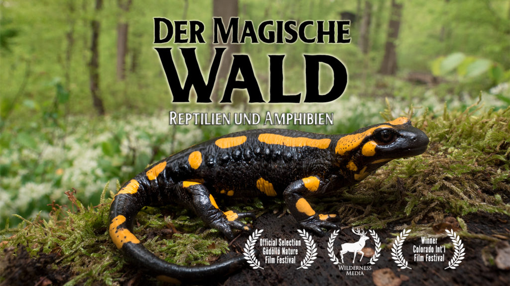 Der Magische Wald Natur Doku