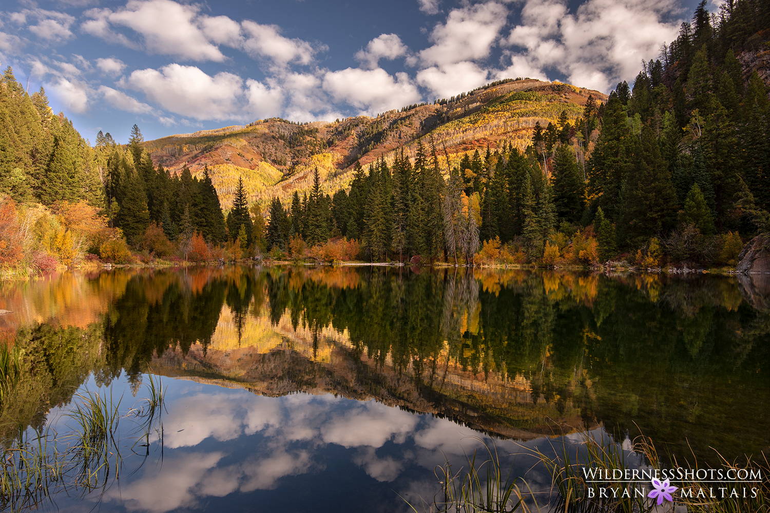 Lizard Lake Fall Colors Marble Colorado