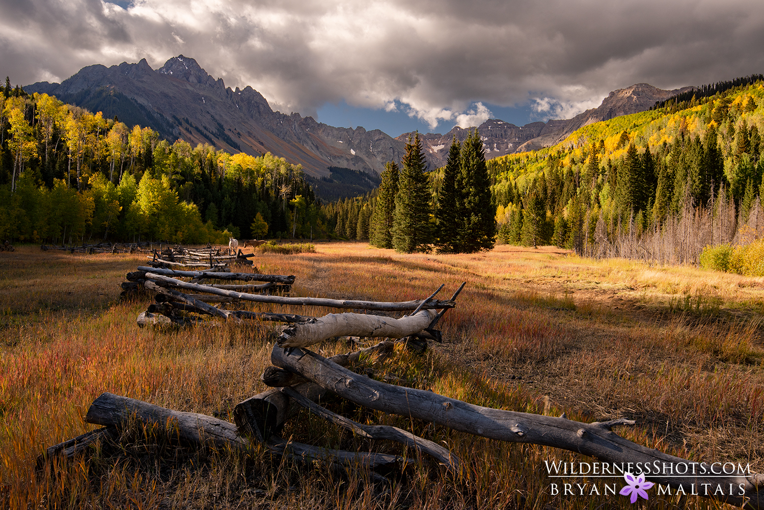 Mt Sneffels Fence Ridgway Colorado