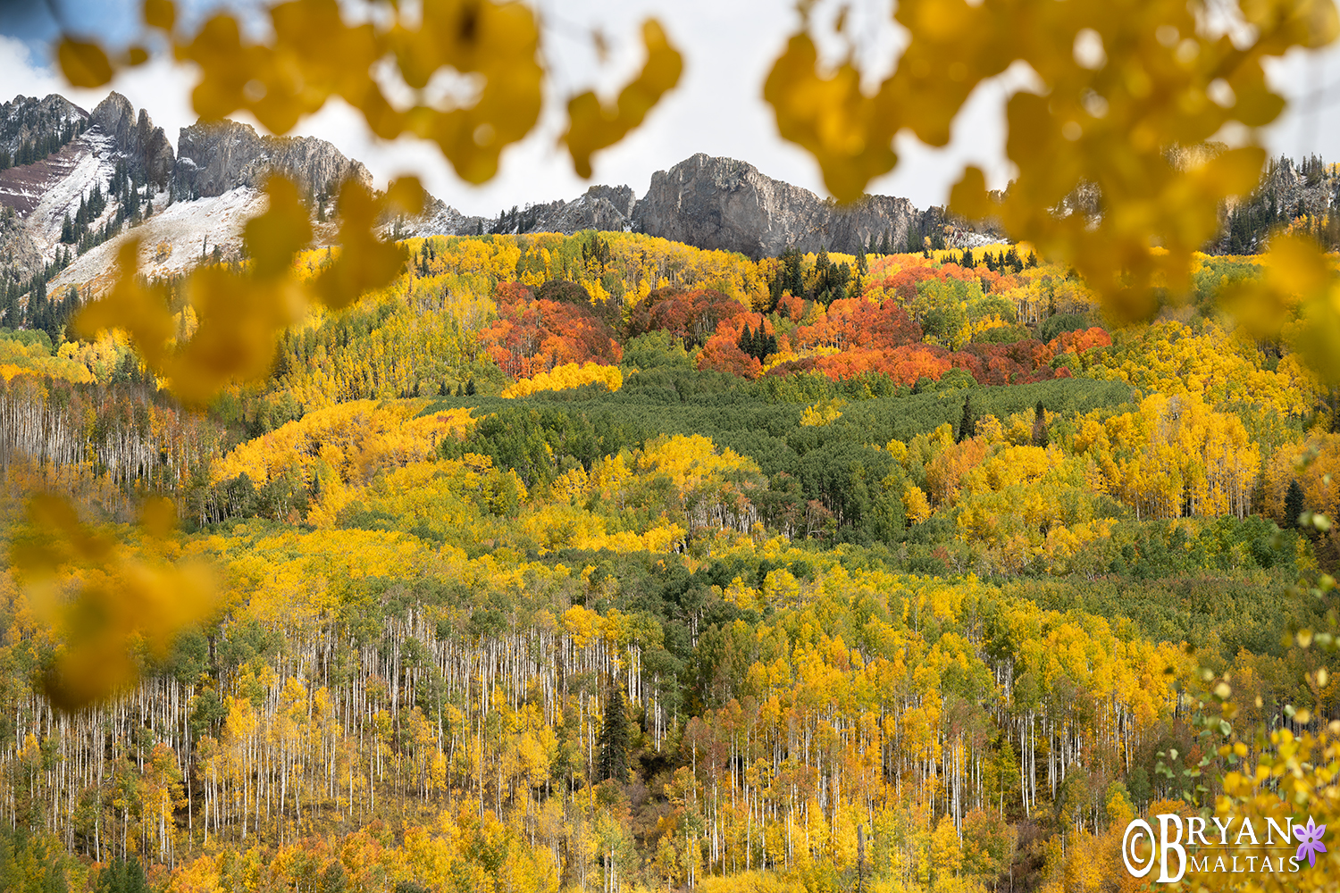 The Dyke Crested Butte Colorado Photos