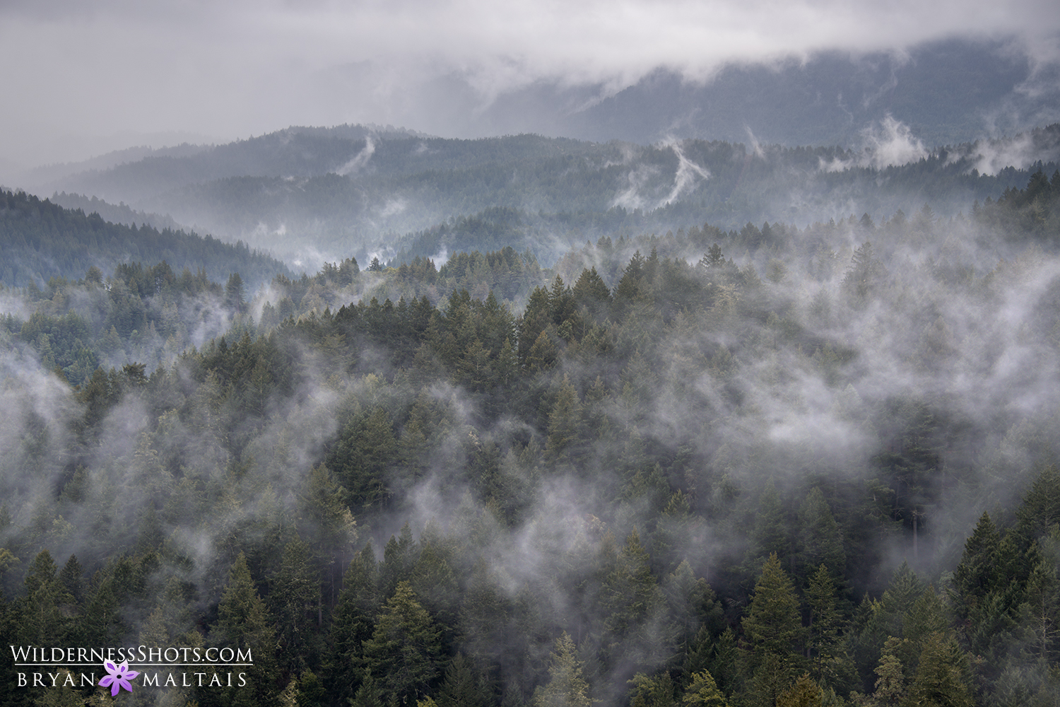 Santa Cruz Mountains Fog California Landscape Photos