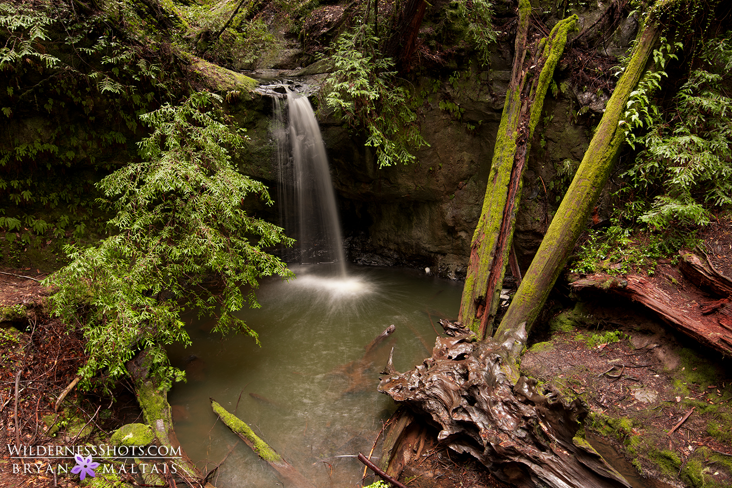 sempervirens falls california landscape photography