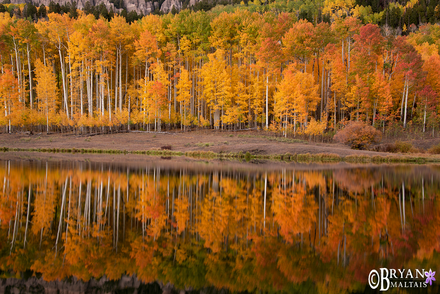Colorado Fall Colors Aspen Lake Reflection