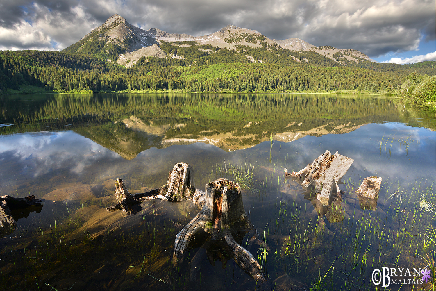 Lost Lake Slough Crested Butte Colorado