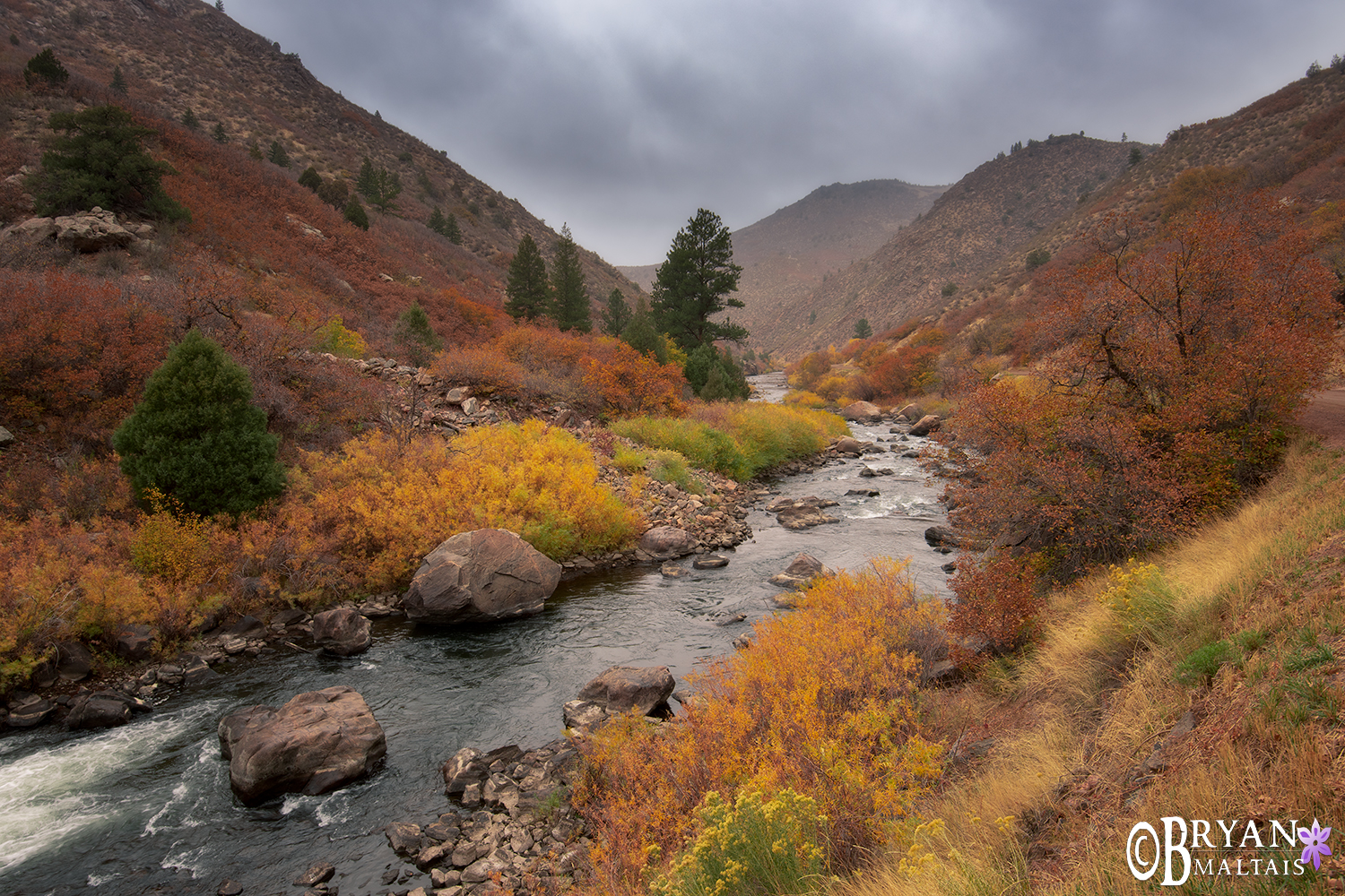 Waterton Canyon Colorado