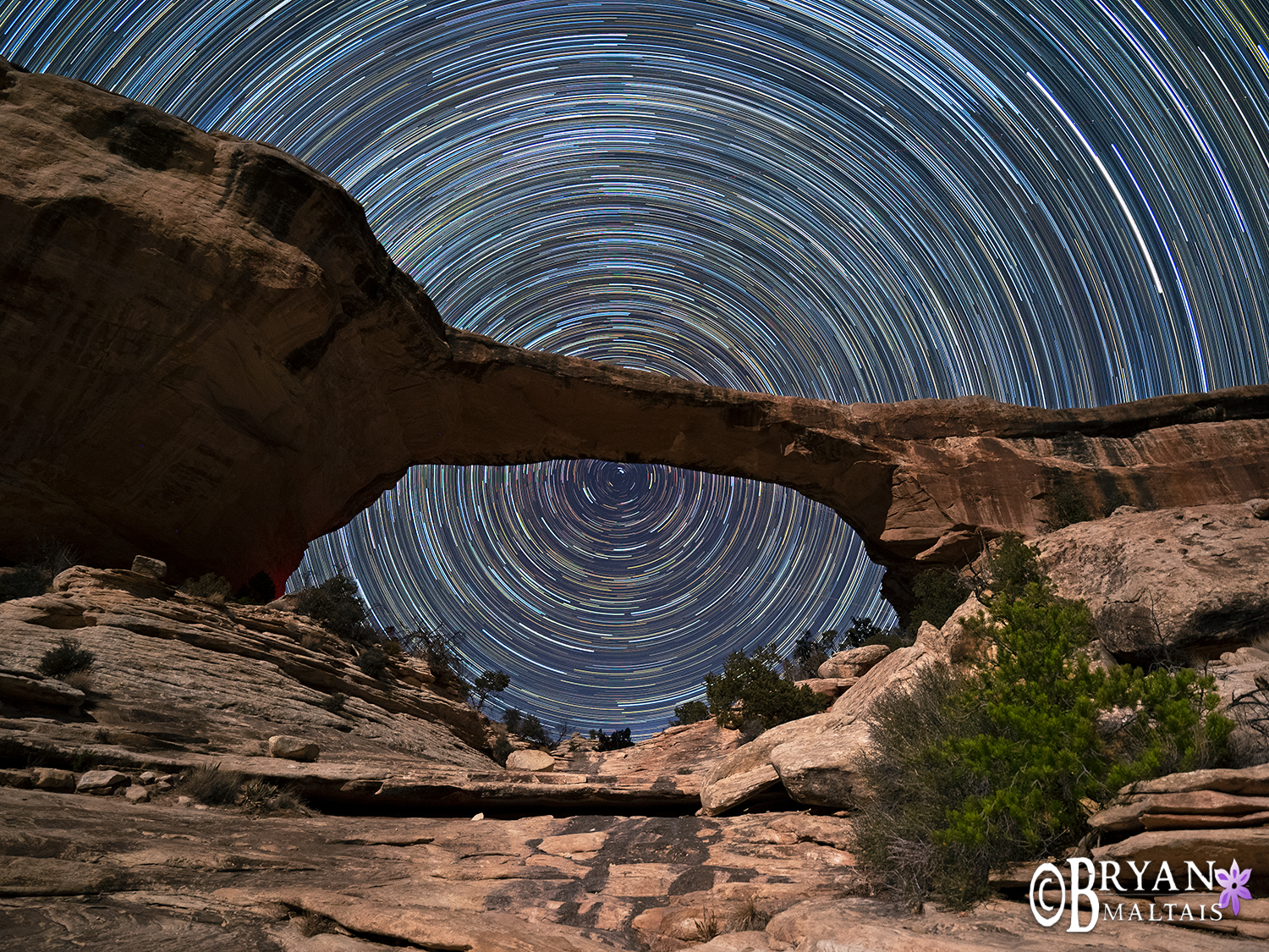 Star Trails Natural Bridges Utah Photos