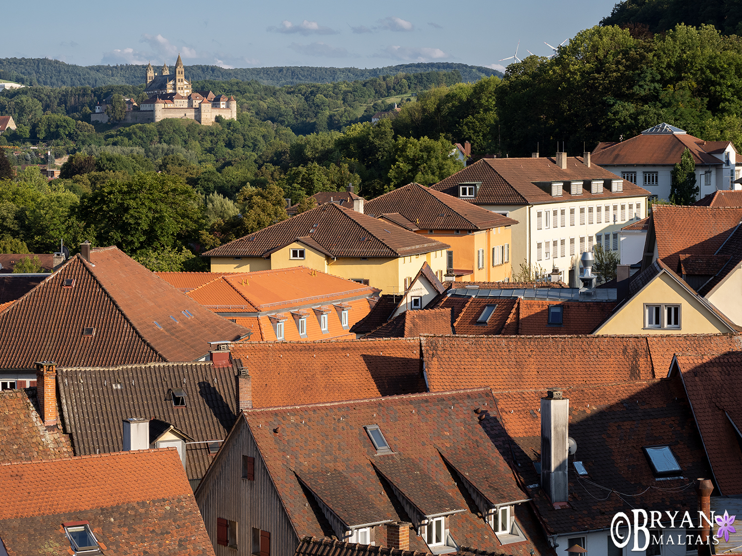 schwabish-hall-roofs-and-castle