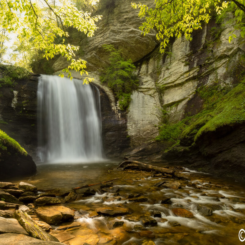 looking glass falls brevard north carolina