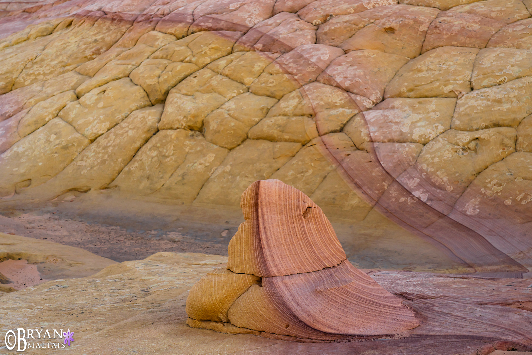 2 tone rainbow sandstone rock arizona