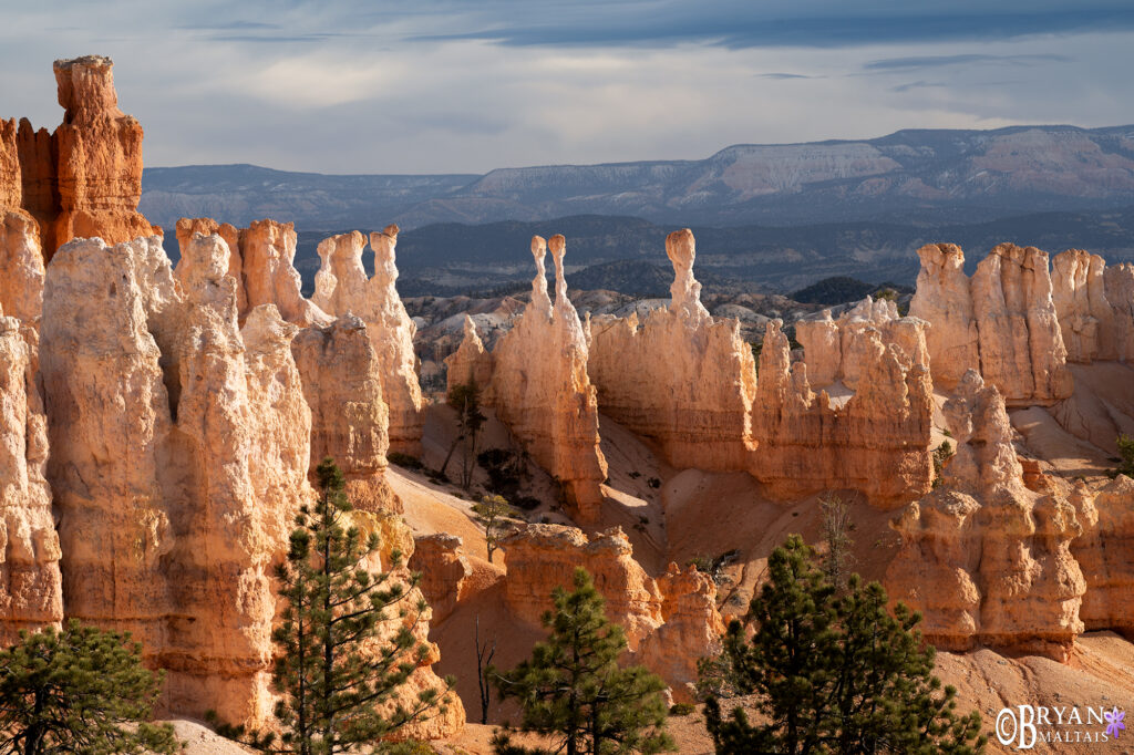 Bryce Canyon Peekaboo Hoodoos Utah Landscape Photos
