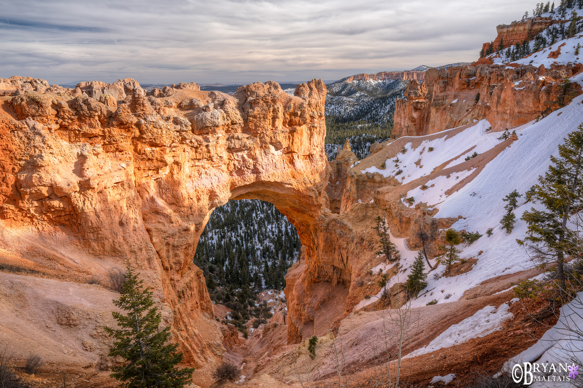 Natural Bridge Bryce Canyon National Park