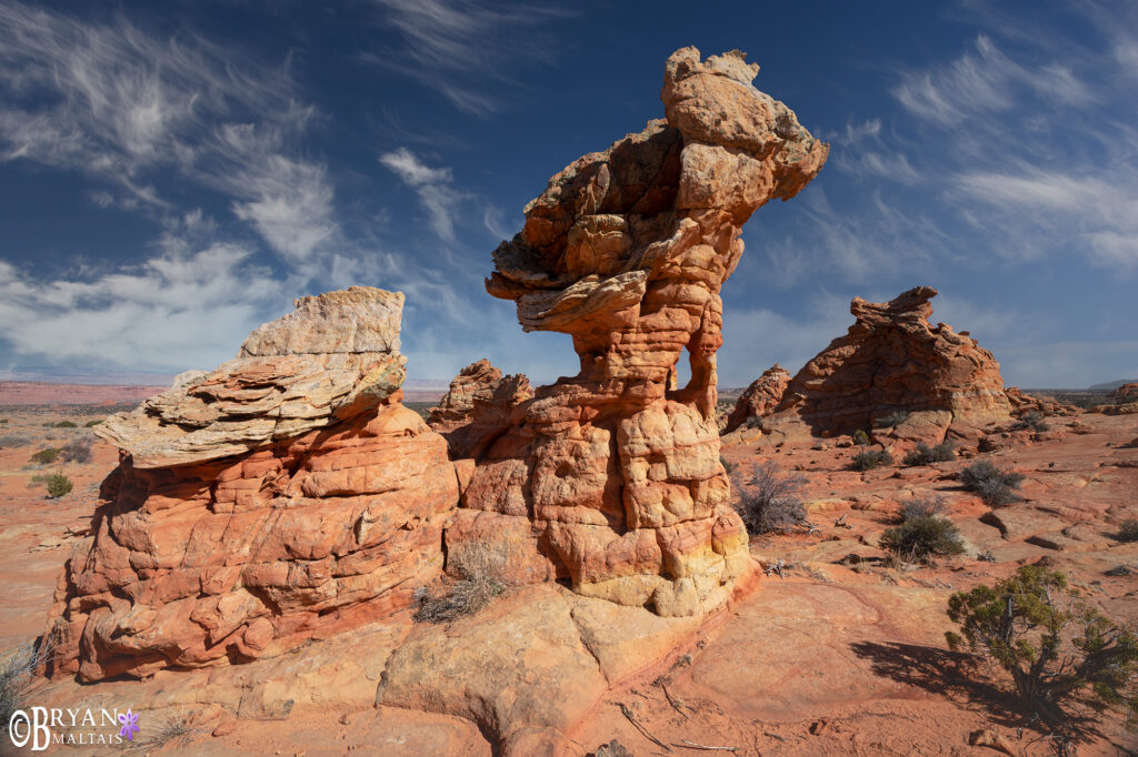 arizona sandstone column formation