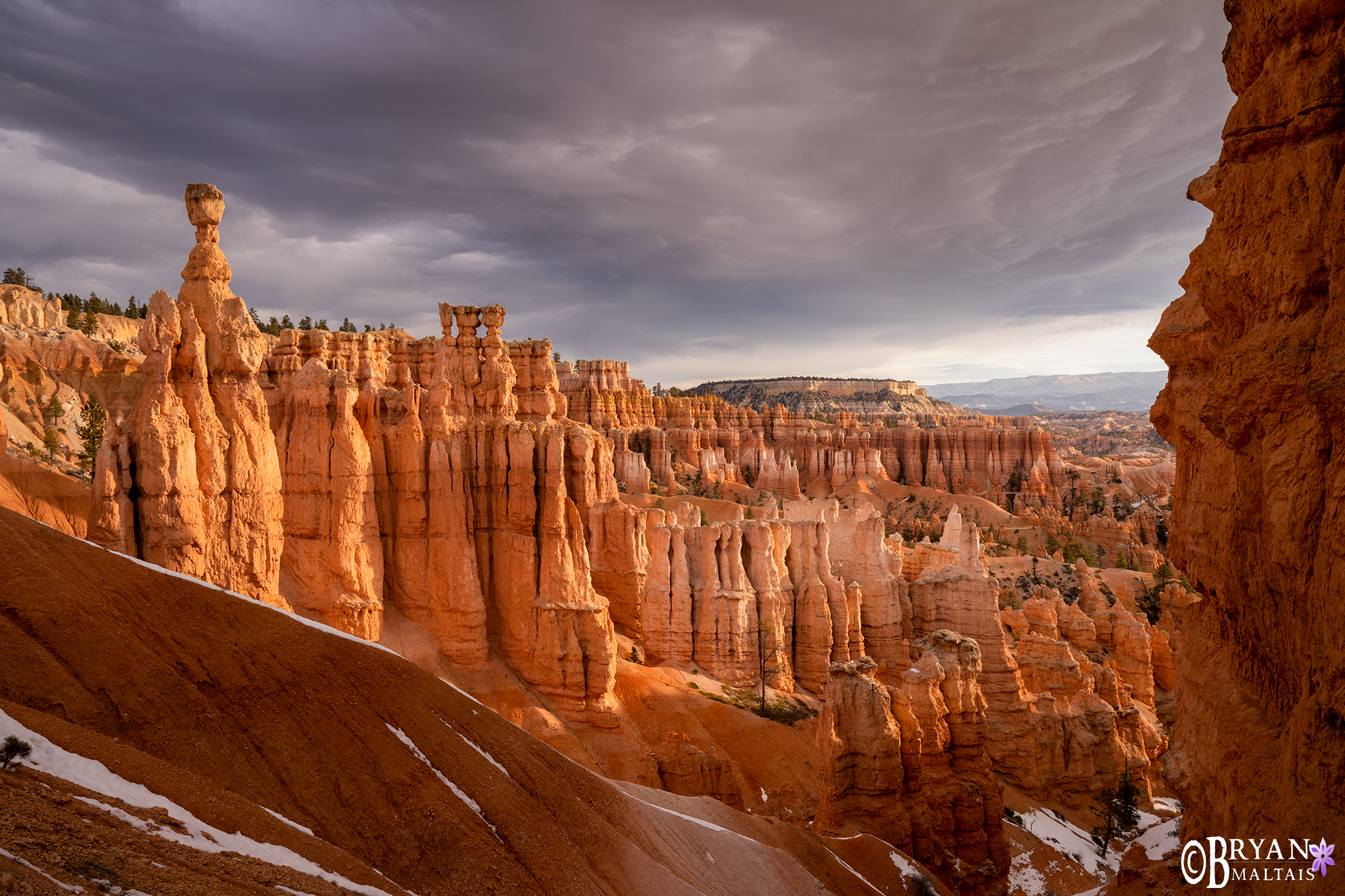 bryce canyon needles utah